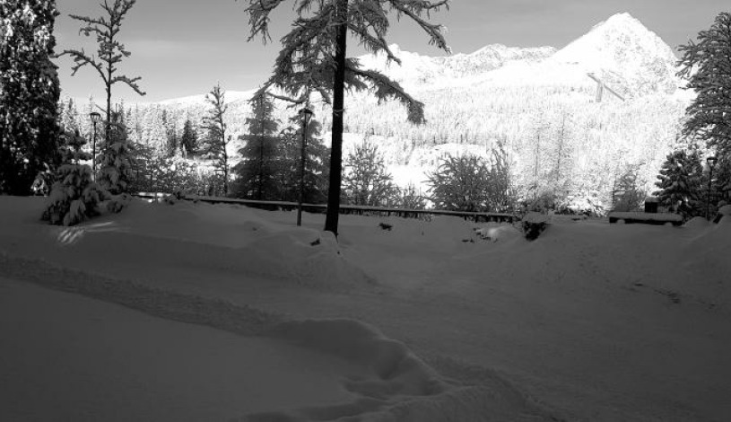 Hotel CROCUS **** Vysoké Tatry